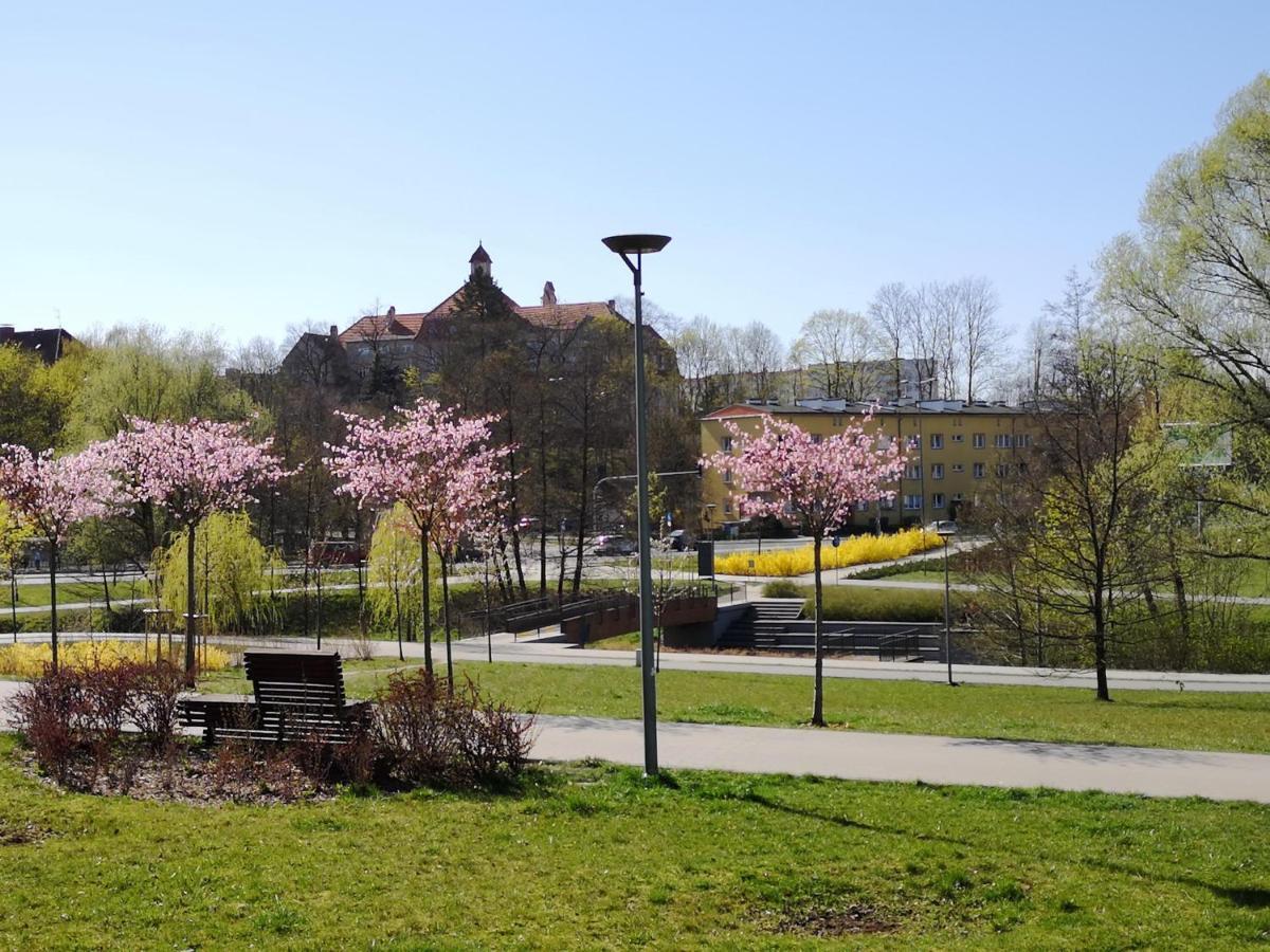 Villa Garden Paryski Ольштин Екстер'єр фото